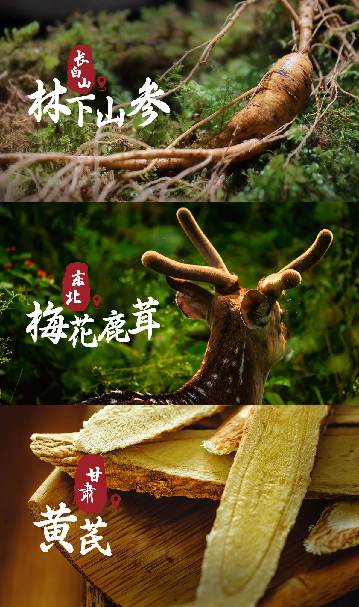 Jingpai Shenrong JingJiu · 38%vol · 500ml - Detail images 10